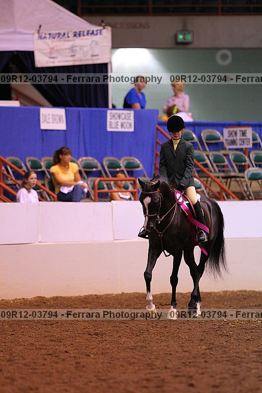 Proof Number 09r12-03794