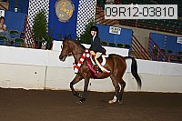 09r12-03810 thumbnail