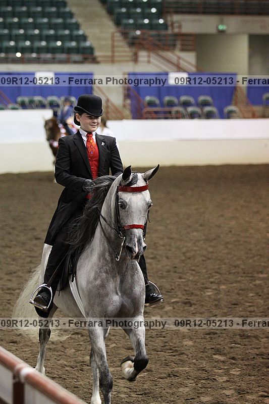 Proof Number 09r12-05213