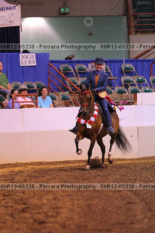 Proof Number 09r12-05338