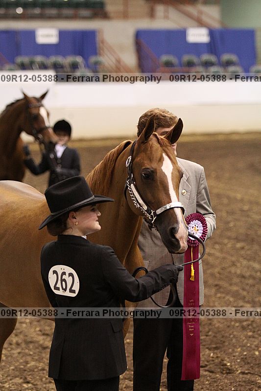 Proof Number 09r12-05388