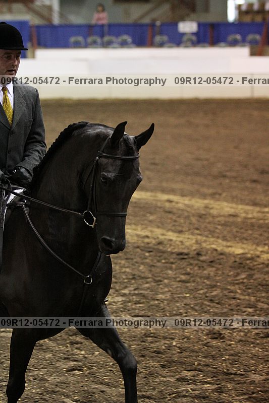 Proof Number 09r12-05472