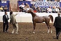 09r12-05850 thumbnail