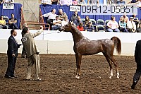 09r12-05851 thumbnail