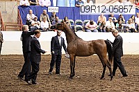 09r12-05857 thumbnail