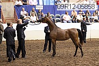 09r12-05858 thumbnail