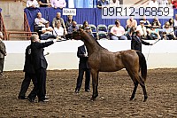 09r12-05859 thumbnail