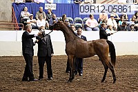 09r12-05861 thumbnail
