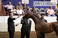 09r12-05863 thumbnail