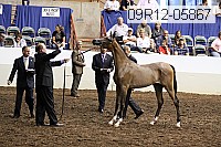 09r12-05867 thumbnail