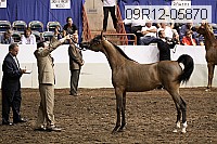 09r12-05870 thumbnail