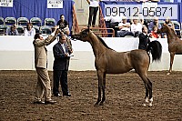 09r12-05871 thumbnail