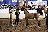 09r12-05872 thumbnail