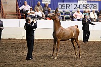 09r12-05878 thumbnail
