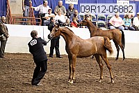 09r12-05882 thumbnail