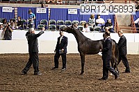 09r12-05893 thumbnail