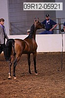 09r12-05921 thumbnail