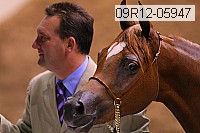 09r12-05947 thumbnail
