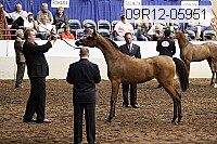 09r12-05951 thumbnail