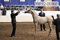 09r12-05968 thumbnail