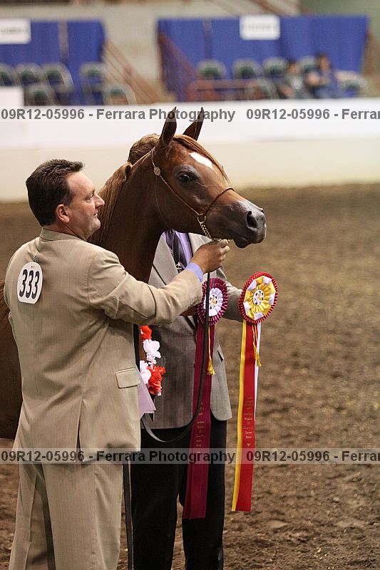 Proof Number 09r12-05996