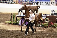 09r12-06157 thumbnail