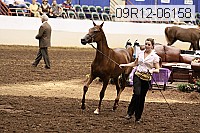 09r12-06158 thumbnail