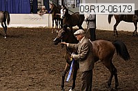 09r12-06179 thumbnail