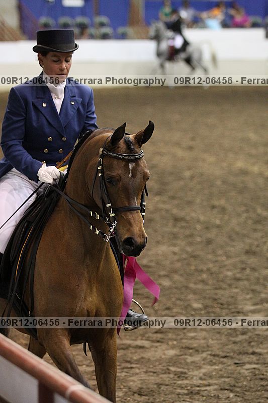 Proof Number 09r12-06456