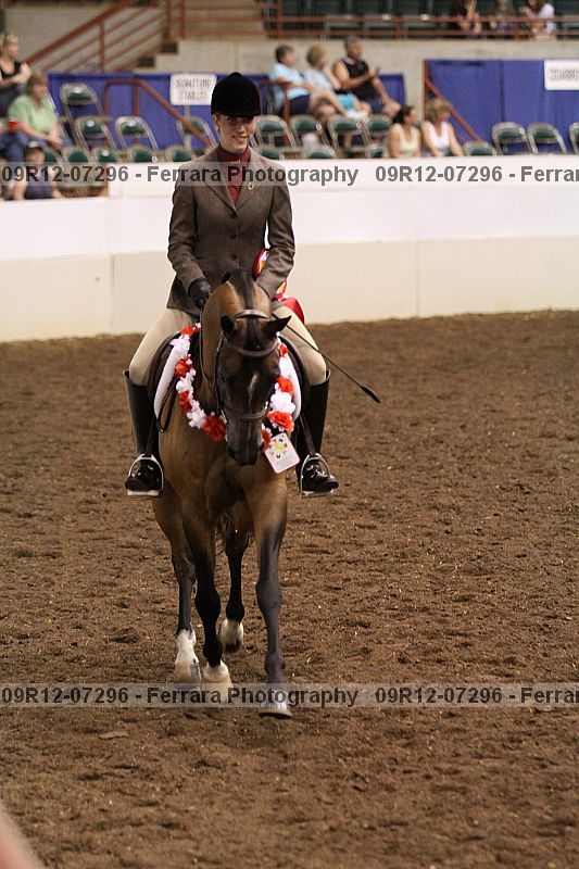 Proof Number 09r12-07296