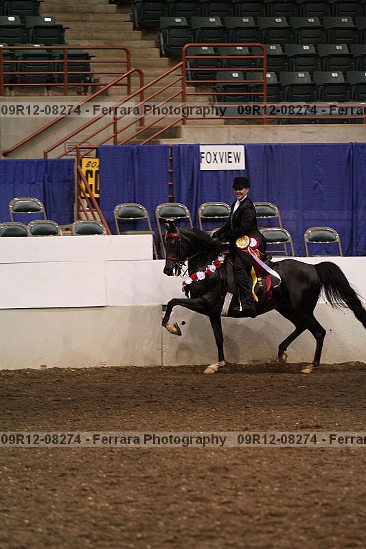 Proof Number 09r12-08274