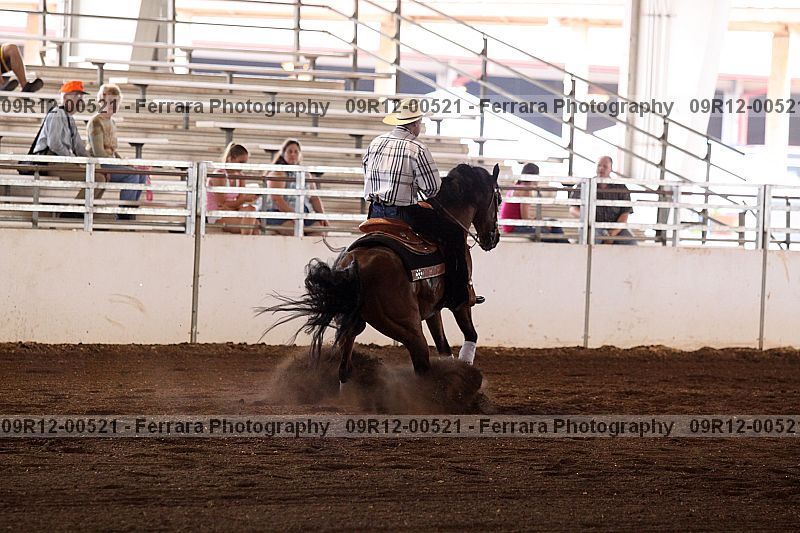 Proof Number 09r12-00521