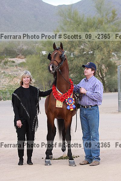Proof Number scotts_09_-2365