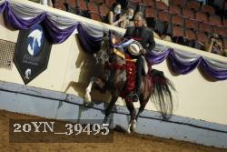 20YN_39495 thumbnail