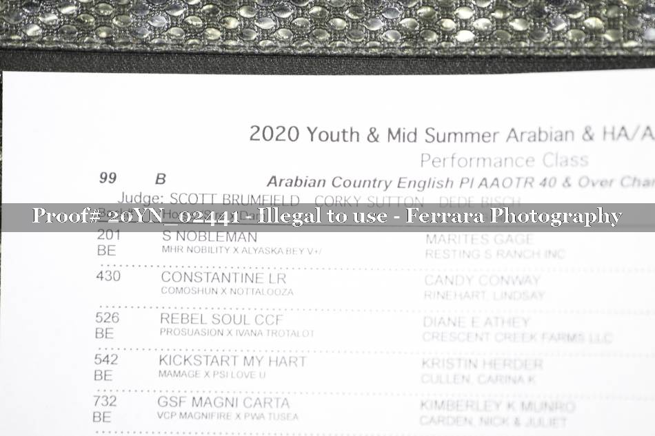 Proof Number 20YN_02441