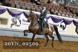20YN_02509 thumbnail