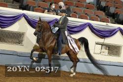 20YN_02517 thumbnail