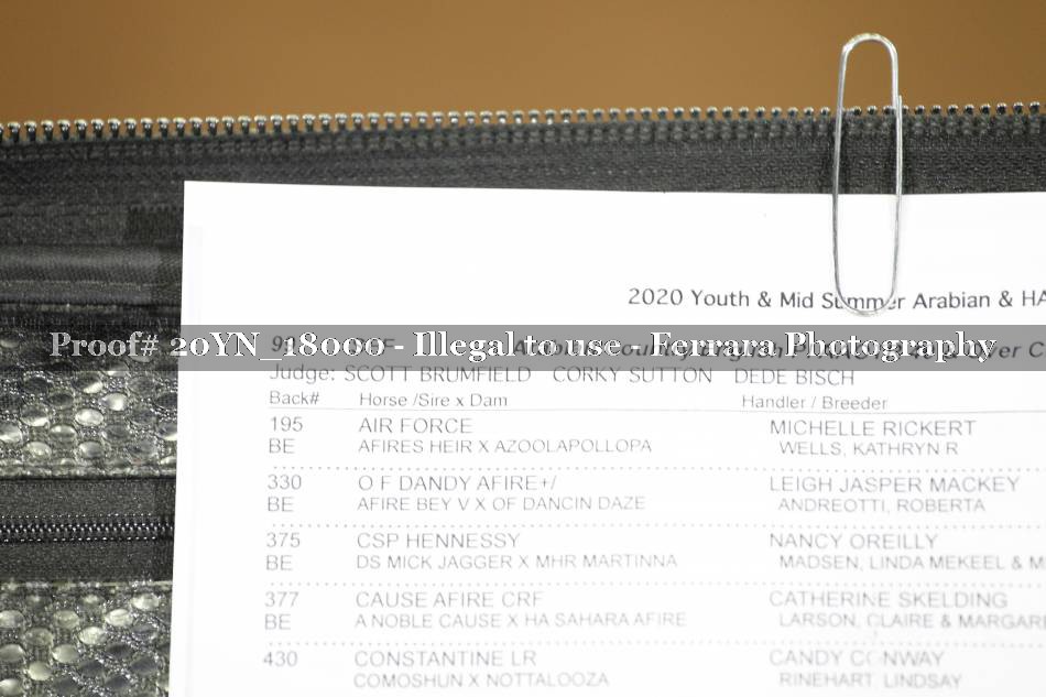 Proof Number 20YN_18000