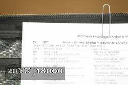 20YN_18000 thumbnail