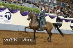 20YN_18001 thumbnail