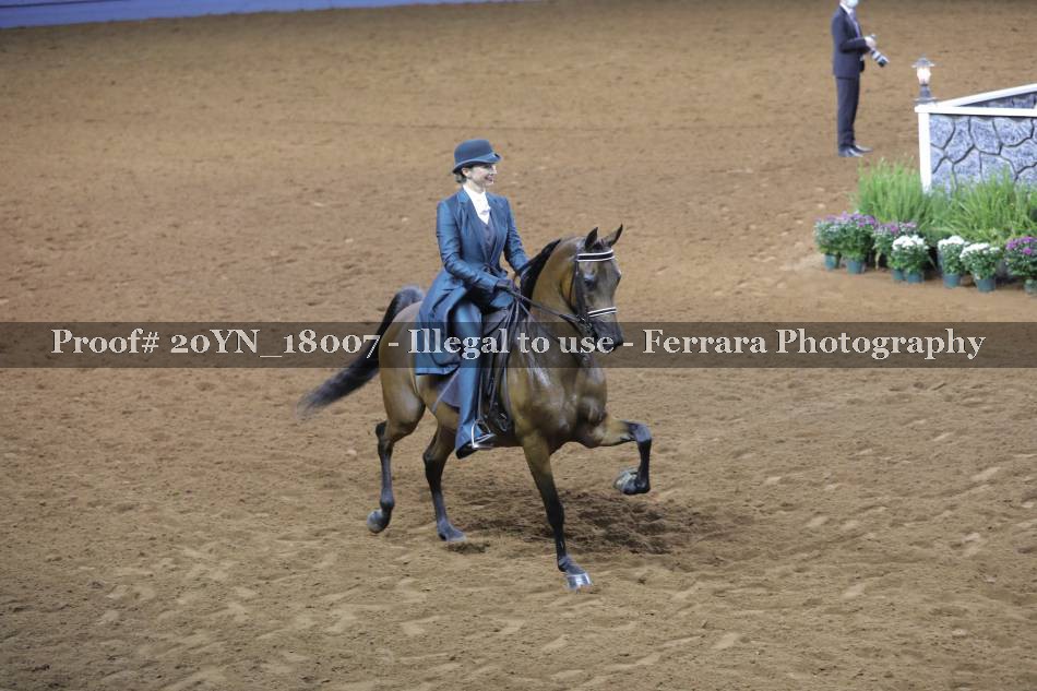 Proof Number 20YN_18007