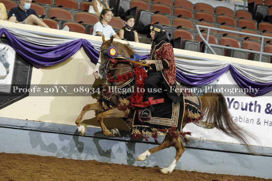 Proof Number 20YN_08934