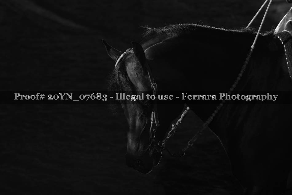 Proof Number 20YN_07683
