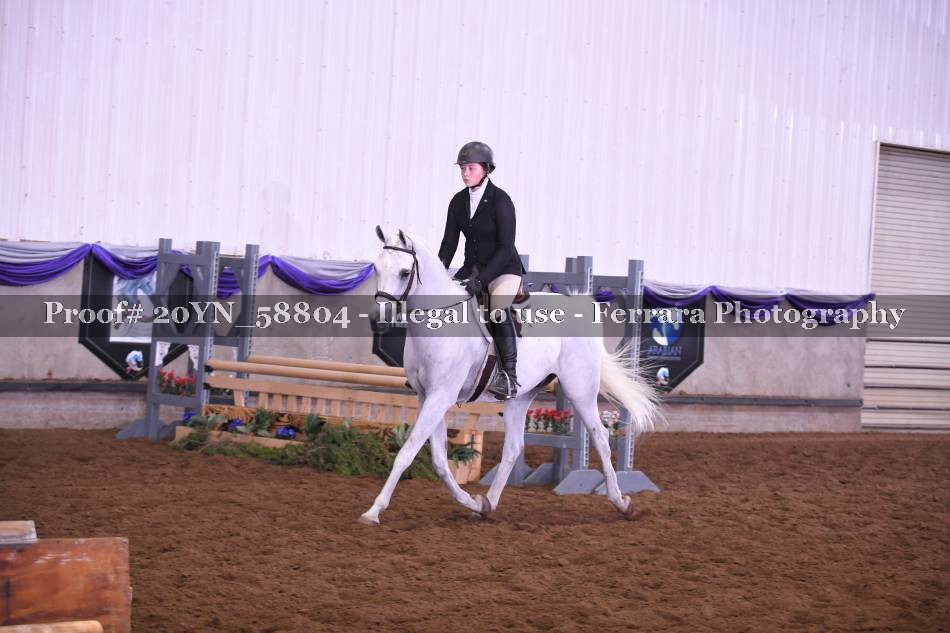 Proof Number 20YN_58804