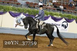 20YN_37759 thumbnail