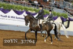 20YN_37764 thumbnail