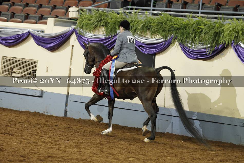 Proof Number 20YN_64875
