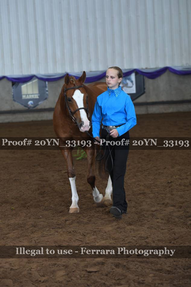 Proof Number 20YN_33193