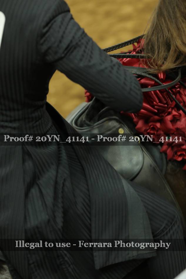 Proof Number 20YN_41141