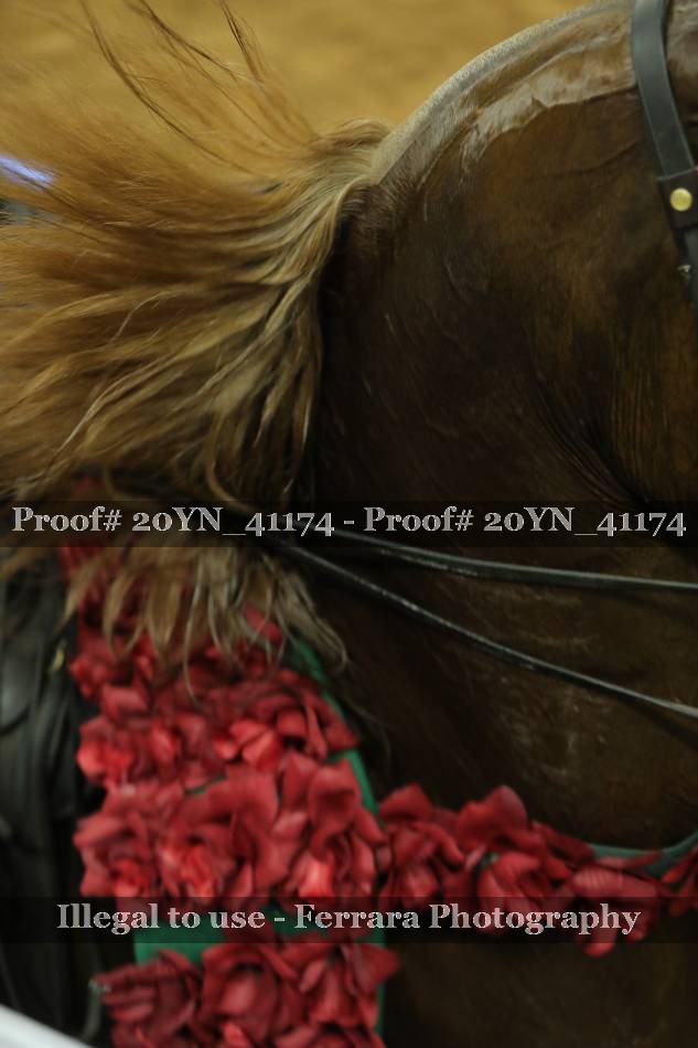 Proof Number 20YN_41174